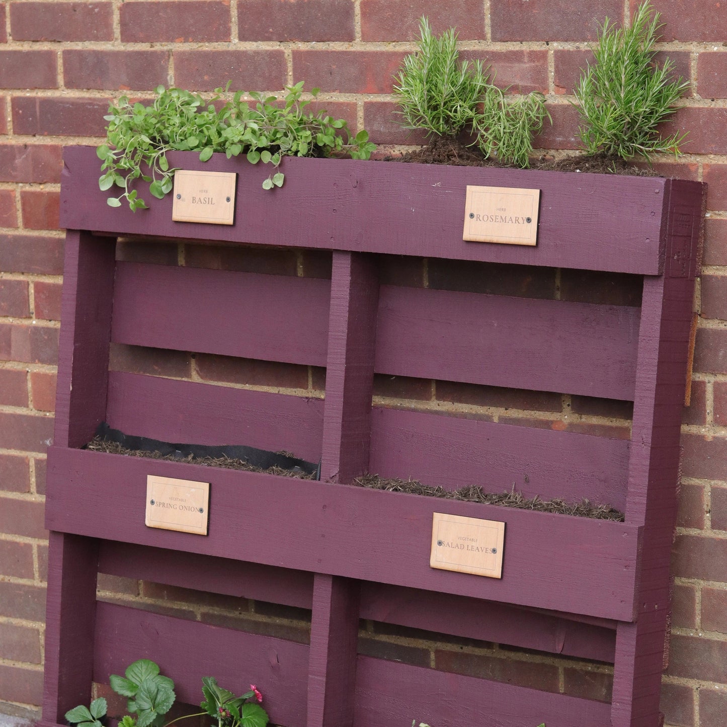Frenchic Paint Al Fresco Frenchic Al Fresco Boho Berry Paint for Indoor & Outdoor Elegance