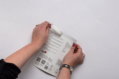 Peel and Stick Samples Chalk Wall Paint Sample Mister A White - Peel & Stick Paint Sample