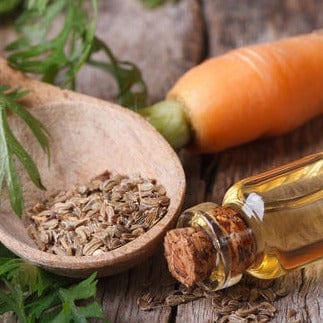The Emporium Organic Hair Serum 30ml - Carrot Seed