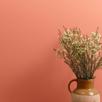 Frenchic Paint Wall Paint Earthy Wall Paint (2.5L)