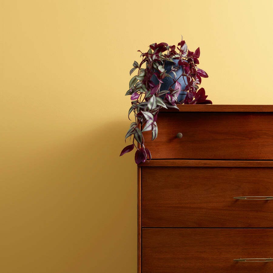Frenchic Paint Wall Paint Hot As Mustard Wall Paint (2.5L)