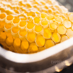 Bedfordshire Organic Honey